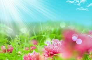 导出文件找不到桌面怎么办大家如何面对（图）