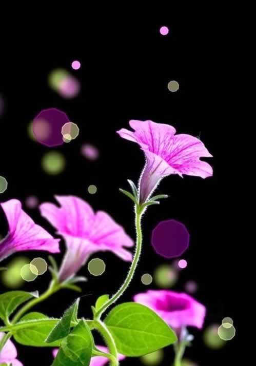 钱被黑了怎么套出来.内容开头语(图)