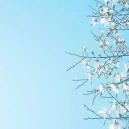 注单异常不给出款怎么办详细讲解 灵活应对（图）