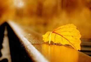 出款通道维护不给提现怎么办经验分享.文章慨括（图）